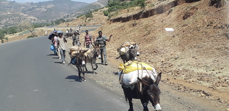 etiyopya - 18-Gondar